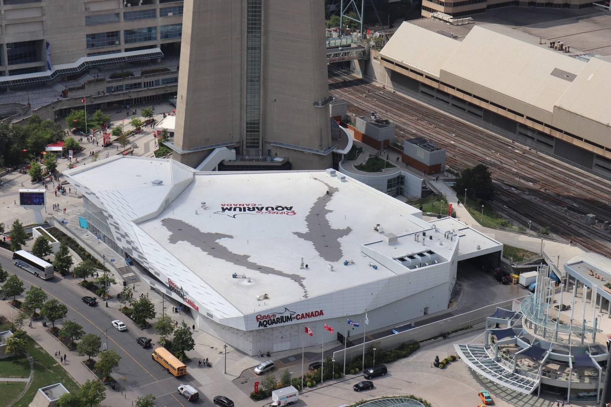 Aaira Suites Cn Tower View Toronto Exterior photo